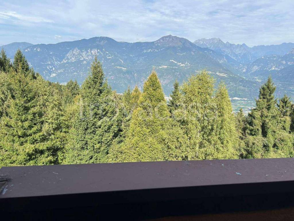 immagine annuncio 9 di 13