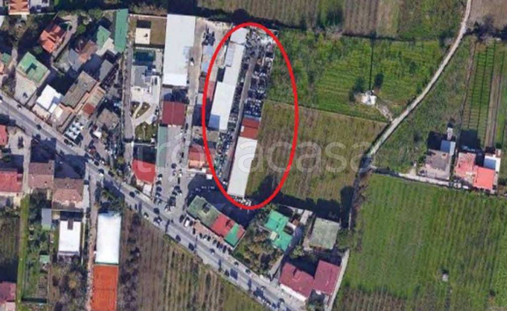 immagine annuncio 7 di 11