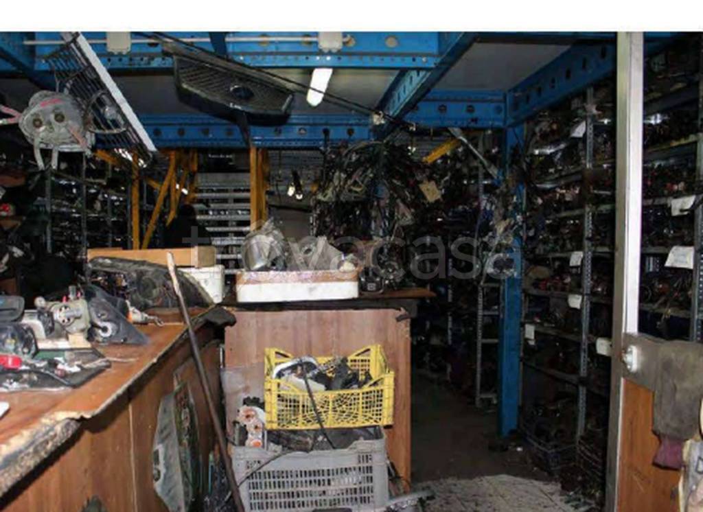 immagine annuncio 10 di 11