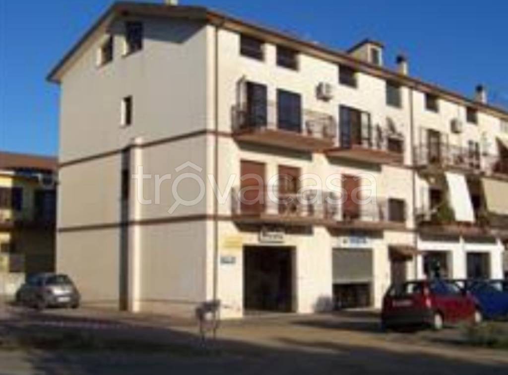 immagine annuncio 12 di 13