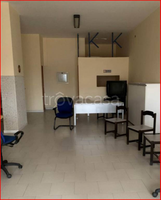 immagine annuncio 3 di 13