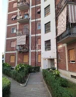 immagine annuncio 1 di 14