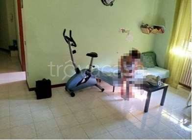 immagine annuncio 4 di 14