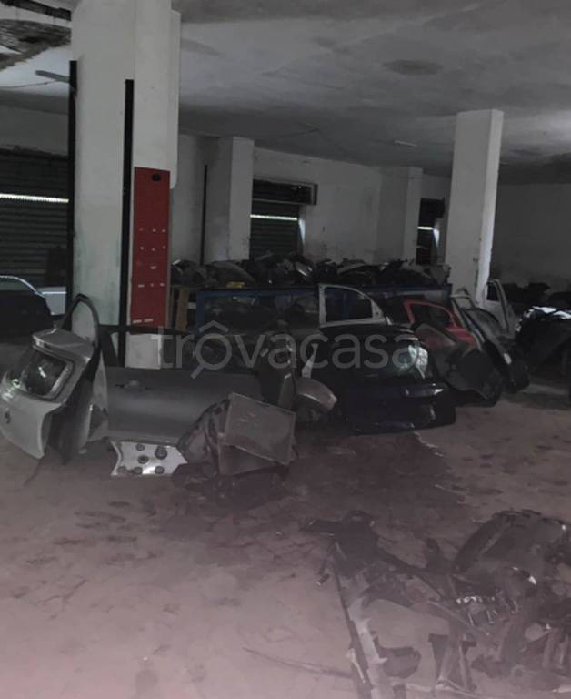 immagine annuncio 2 di 11