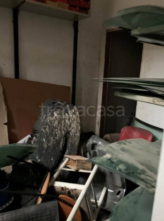 immagine annuncio 6 di 11