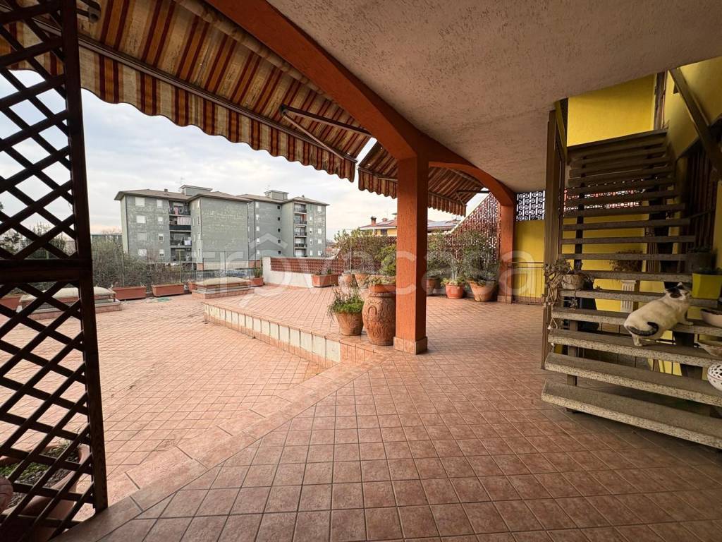 immagine annuncio 14 di 15