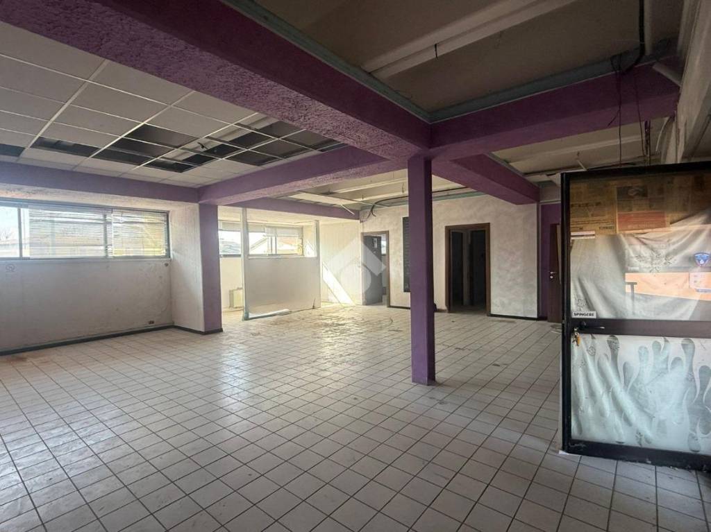 immagine annuncio 3 di 12