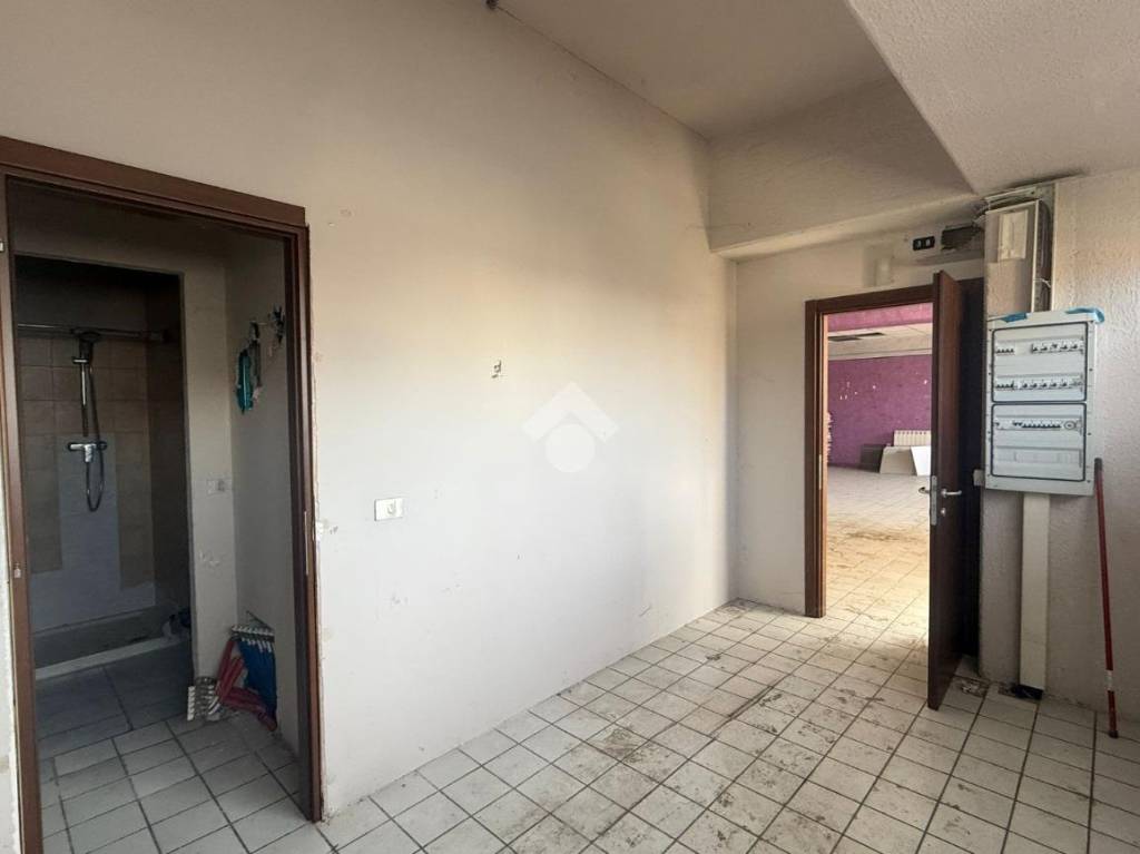 immagine annuncio 4 di 12