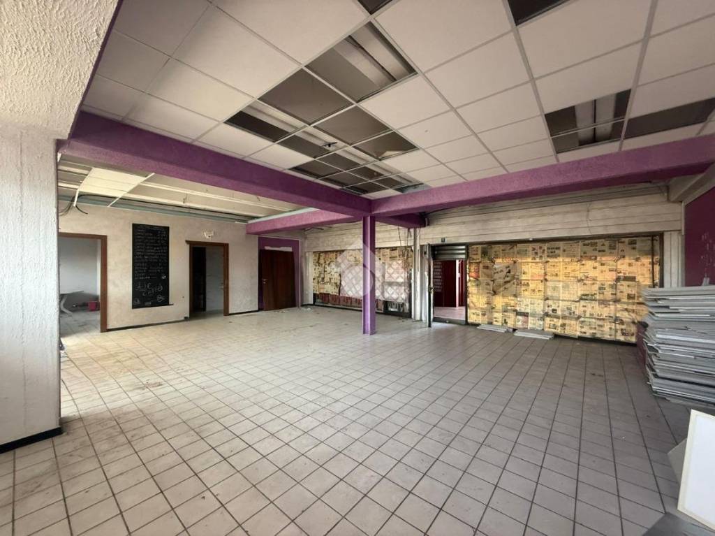 immagine annuncio 5 di 12