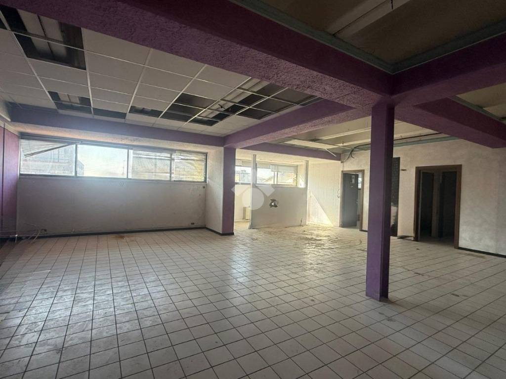 immagine annuncio 7 di 12