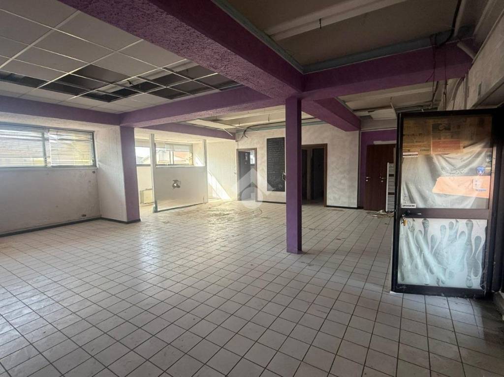 immagine annuncio 9 di 12