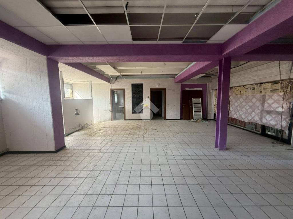 immagine annuncio 10 di 12