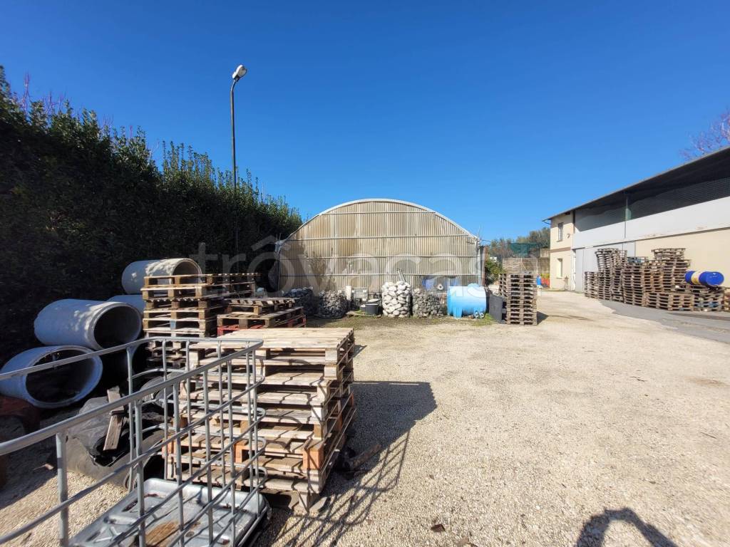 immagine annuncio 10 di 15