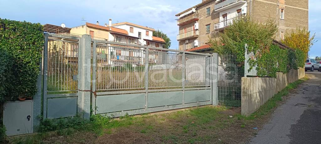 immagine annuncio 2 di 3