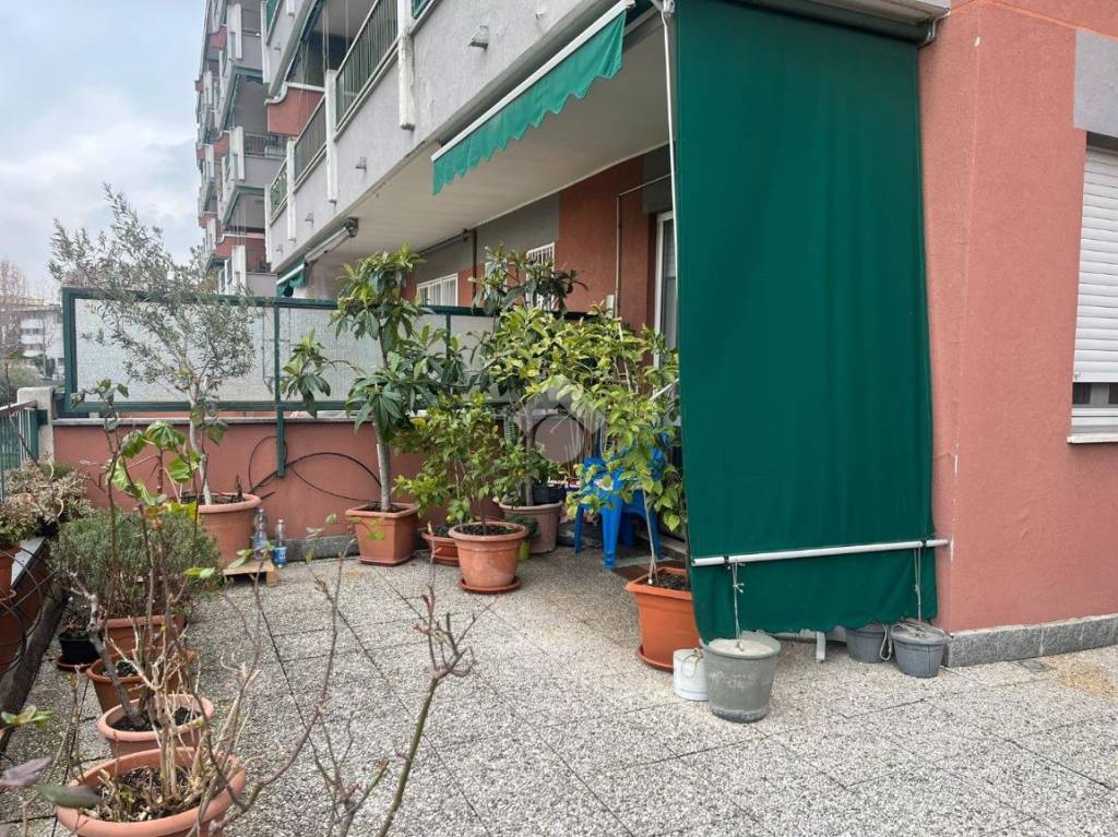 immagine annuncio 4 di 15