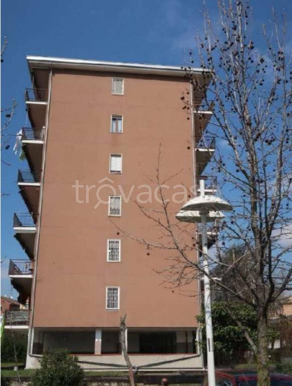 immagine annuncio 9 di 10