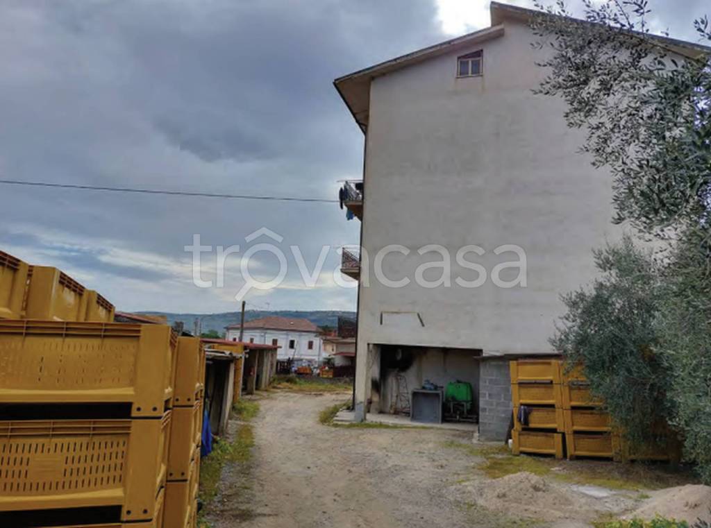 immagine annuncio 6 di 11