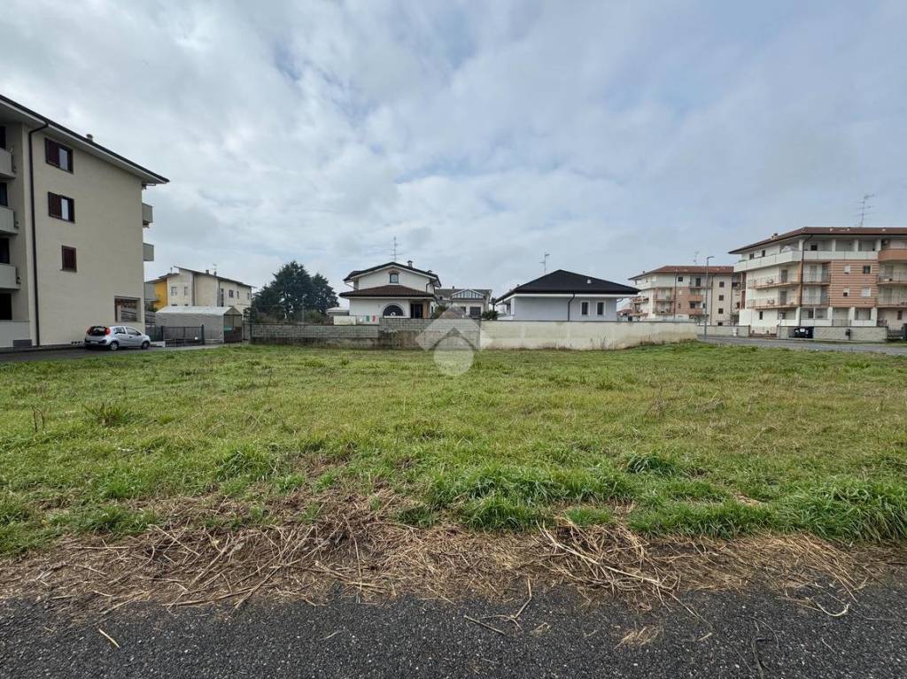 immagine annuncio 1 di 12