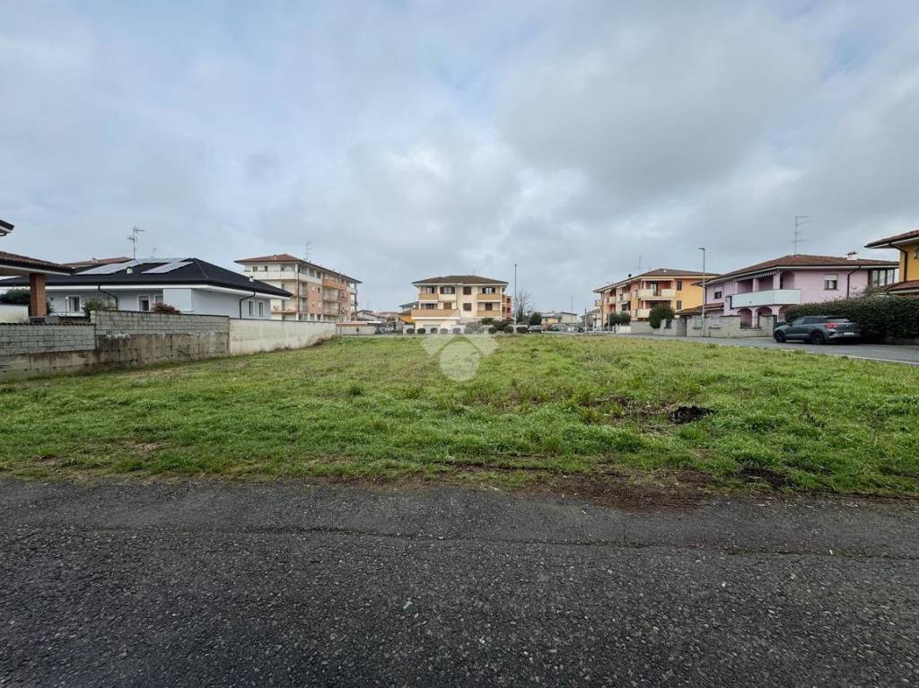 immagine annuncio 2 di 12