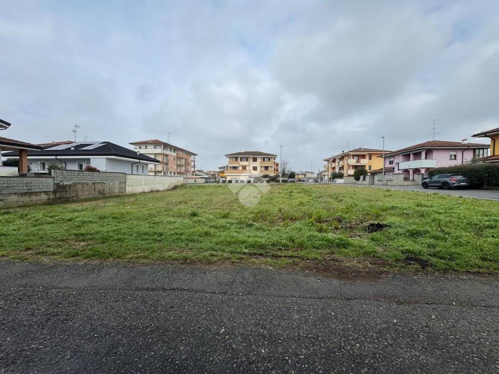 immagine annuncio 3 di 12