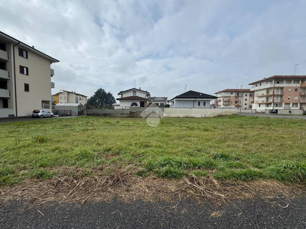 immagine annuncio 7 di 12