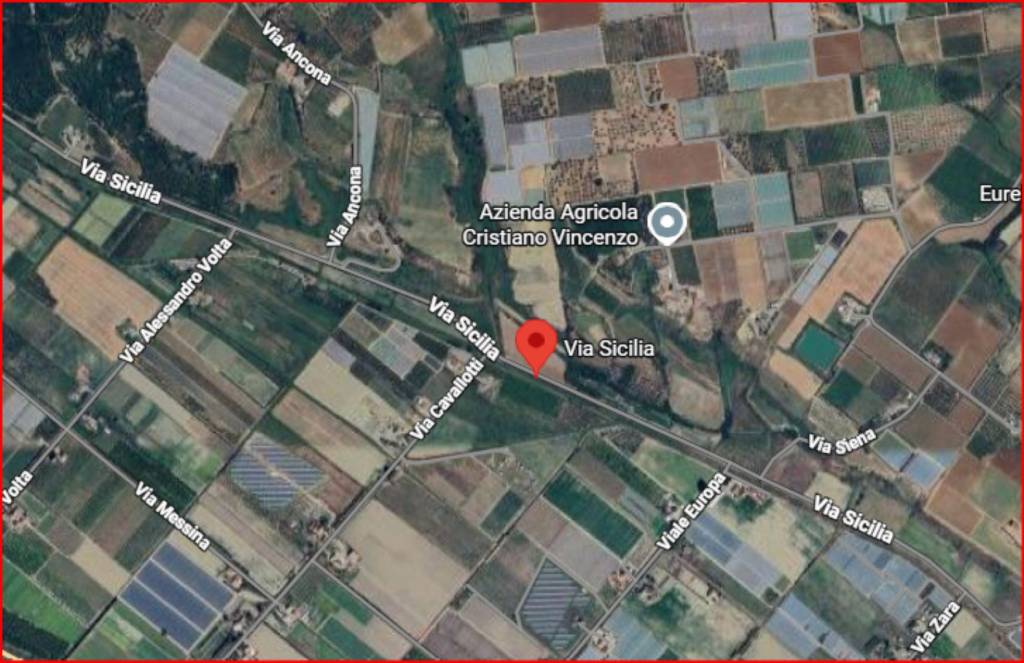 immagine annuncio 10 di 11