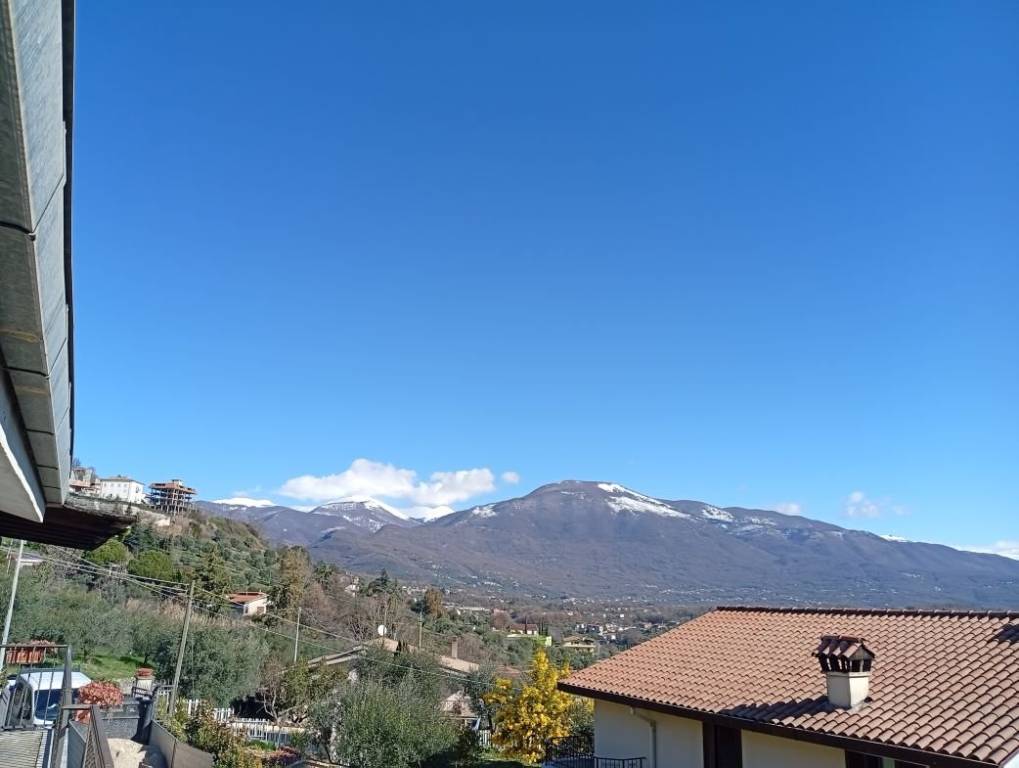 immagine annuncio 5 di 7