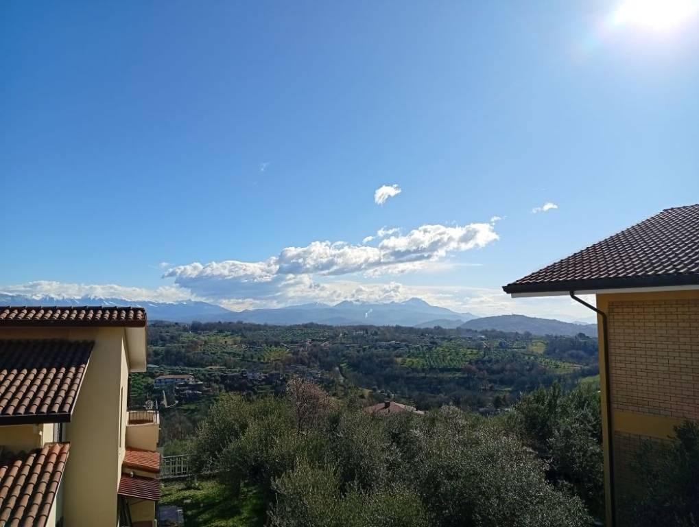 immagine annuncio 6 di 7