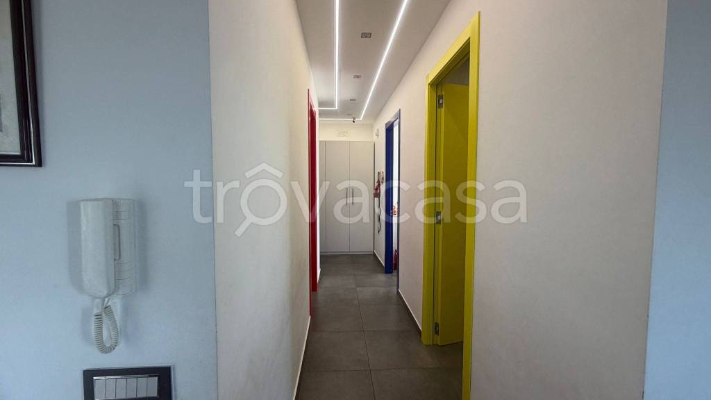 immagine annuncio 2 di 14