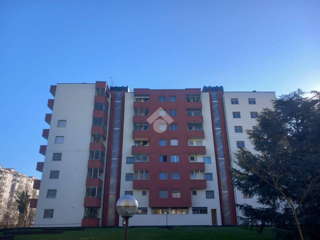 immagine annuncio 2 di 12