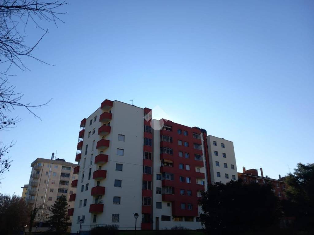 immagine annuncio 3 di 12