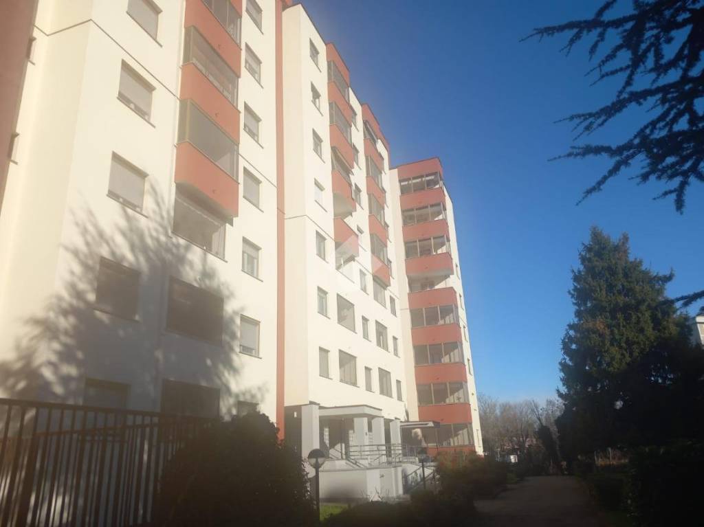 immagine annuncio 11 di 12