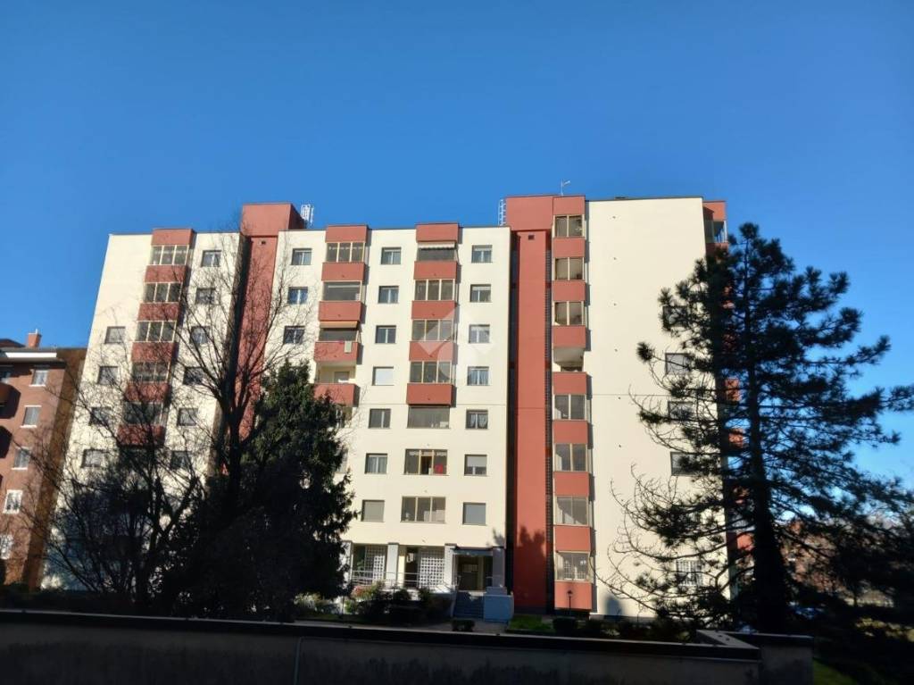 immagine annuncio 4 di 12