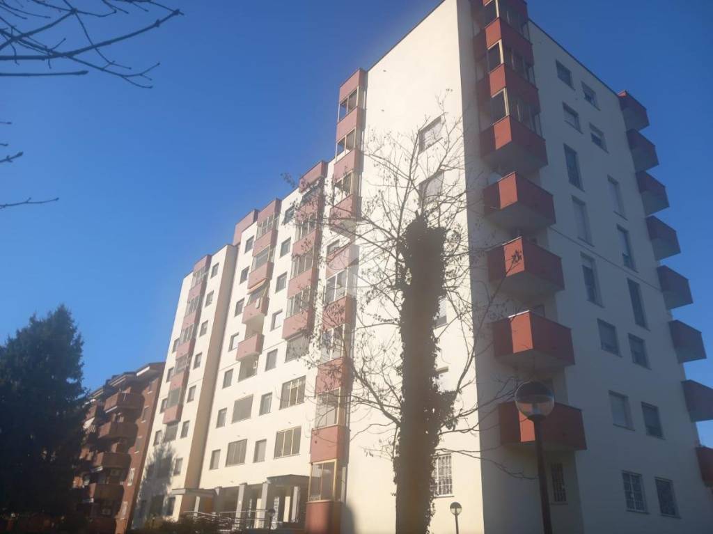 immagine annuncio 10 di 12