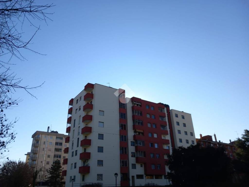 immagine annuncio 5 di 12