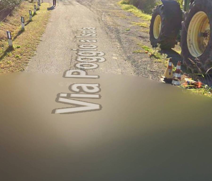 immagine annuncio 2 di 12