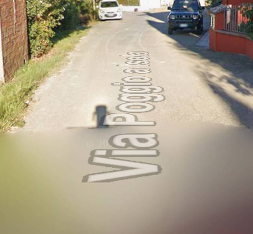 immagine annuncio 7 di 12