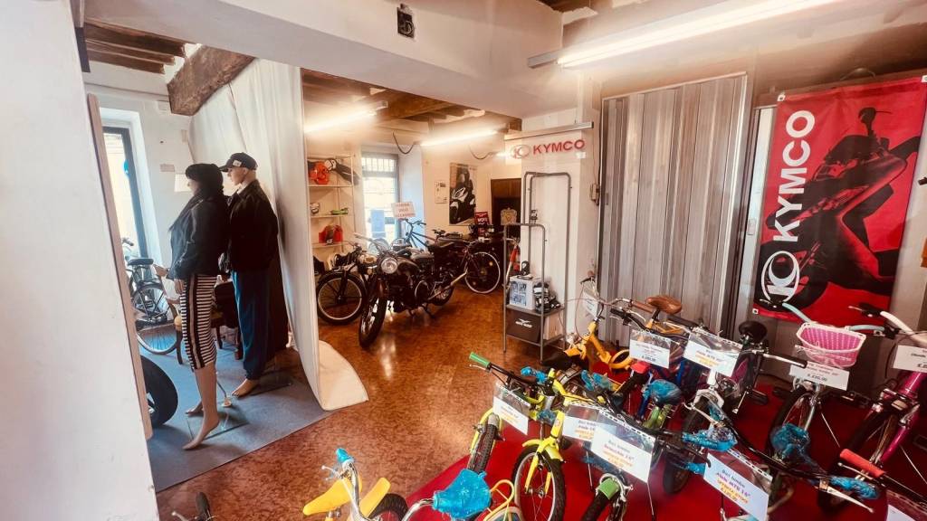 immagine annuncio 3 di 15