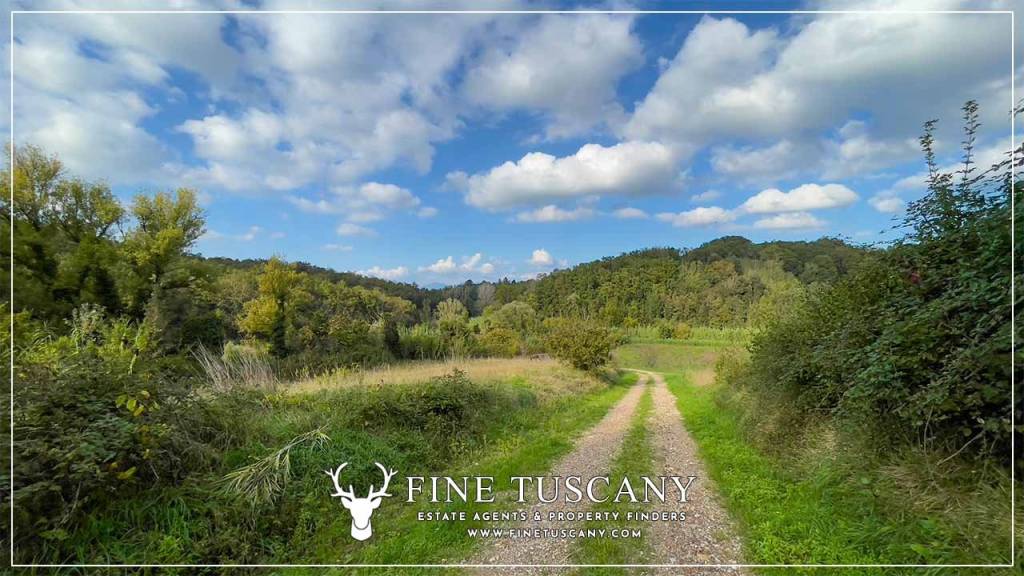 immagine annuncio 9 di 12