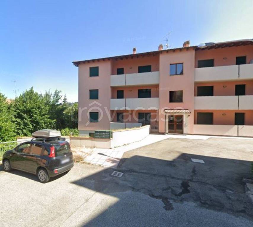 immagine annuncio 5 di 11