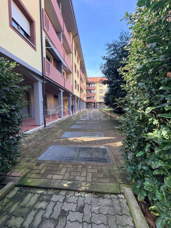 immagine annuncio 7 di 9