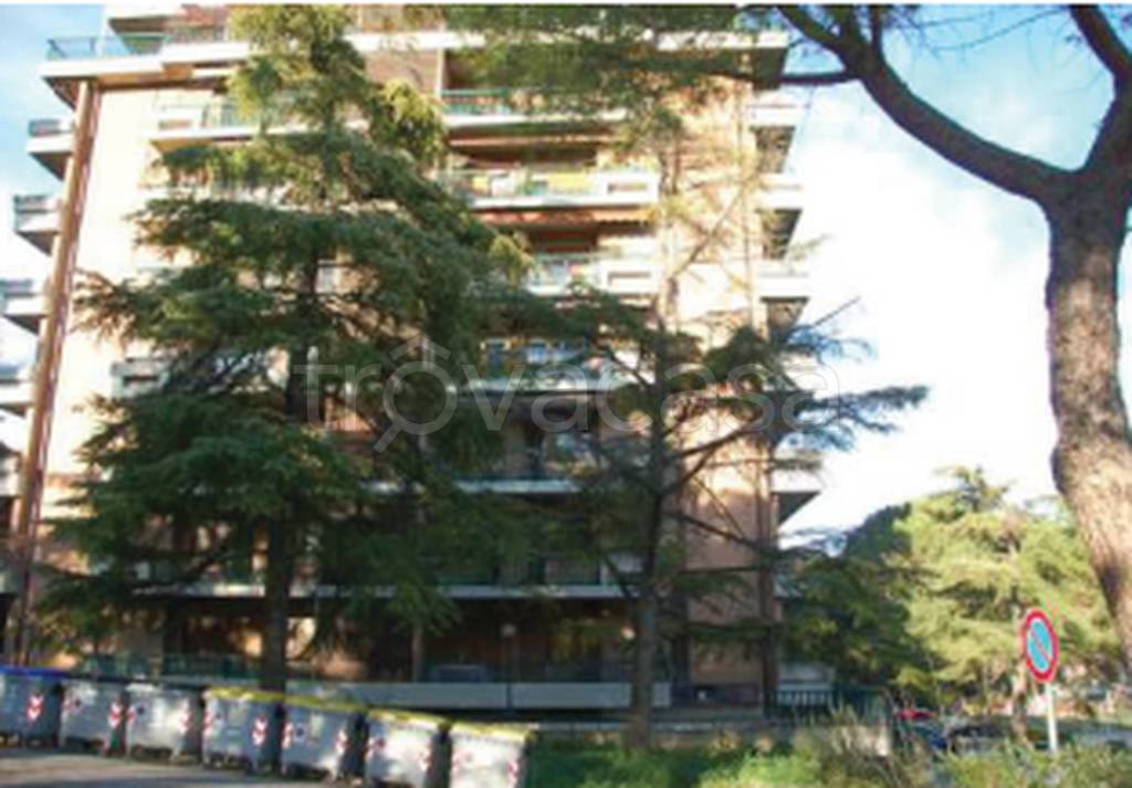 immagine annuncio 5 di 11