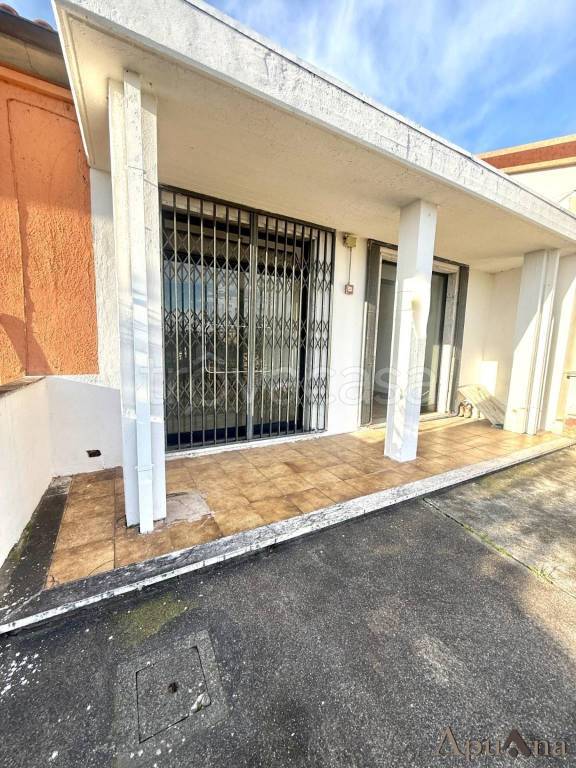 immagine annuncio 3 di 8