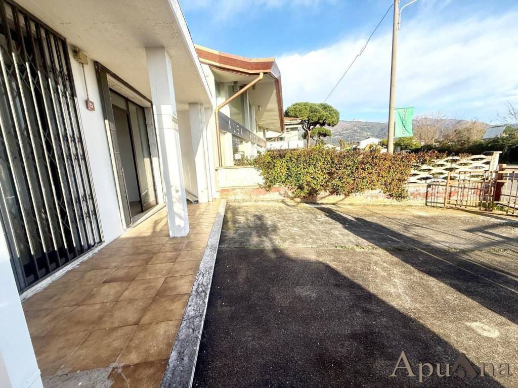 immagine annuncio 1 di 8