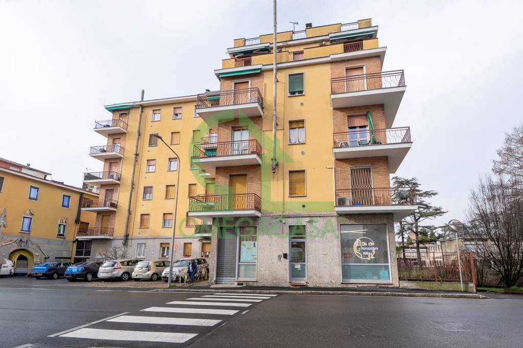 immagine annuncio 7 di 11