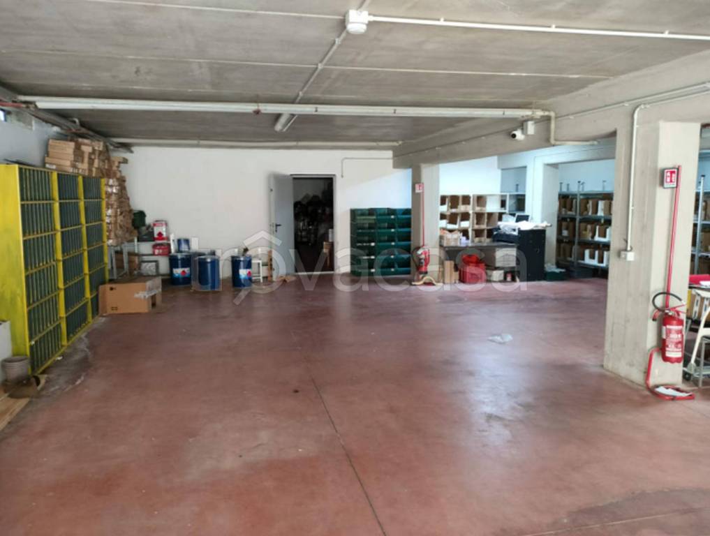 immagine annuncio 10 di 11