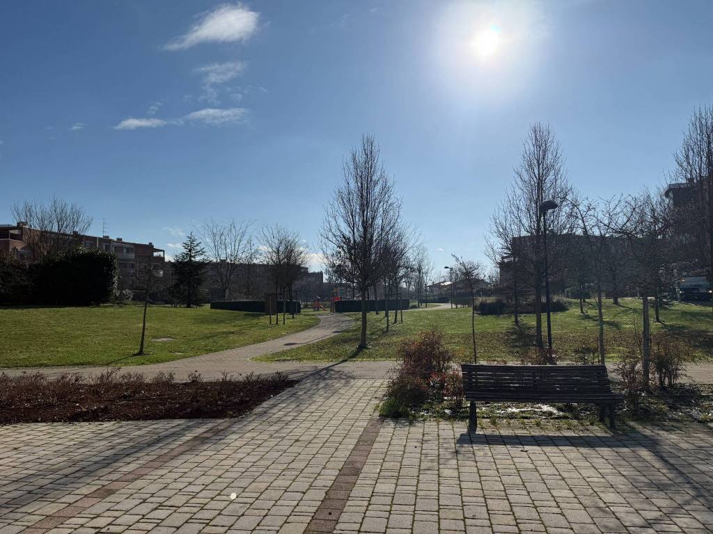 immagine annuncio 5 di 15