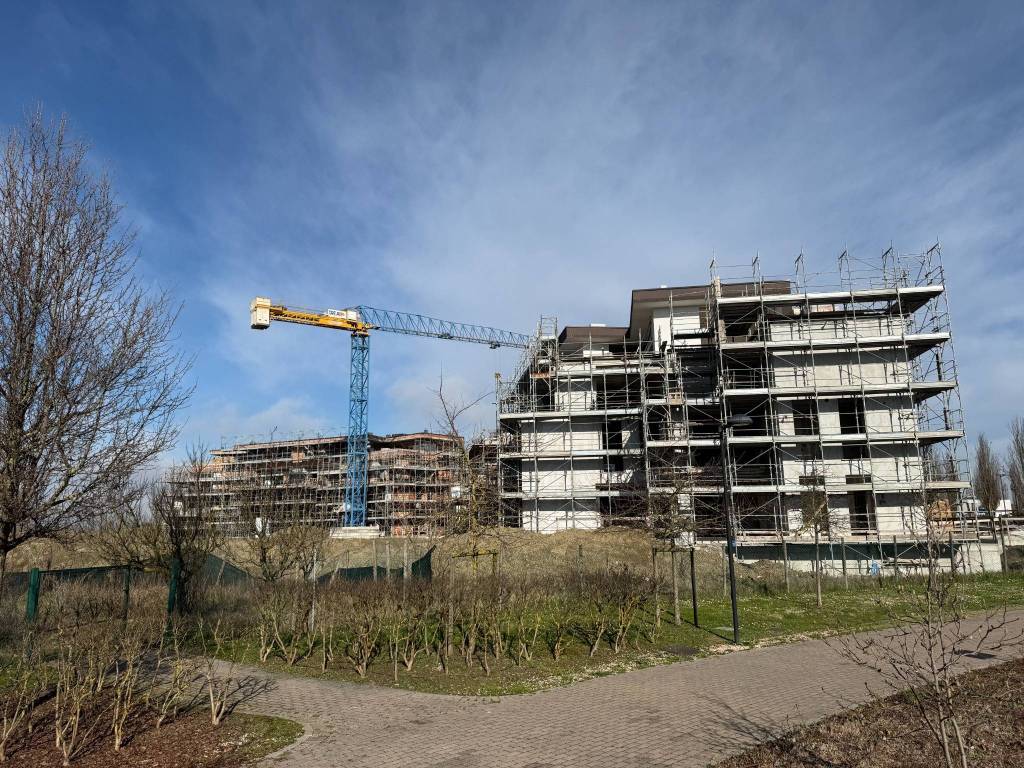 immagine annuncio 6 di 15