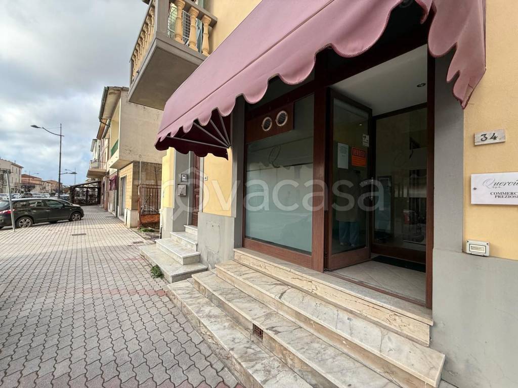 immagine annuncio 5 di 7