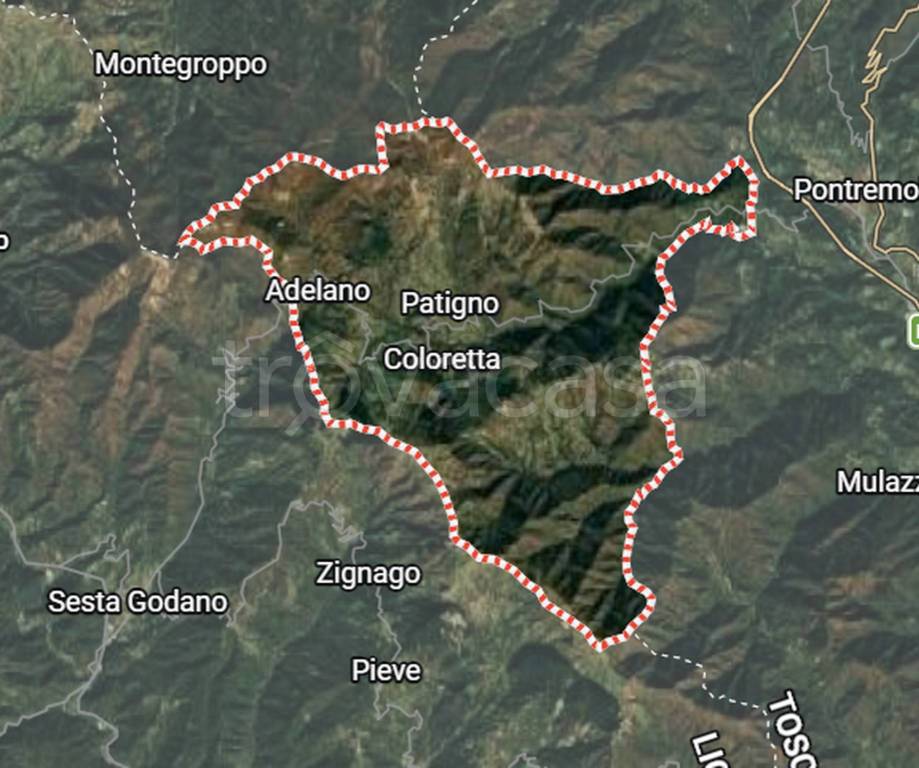 immagine annuncio 1 di 12